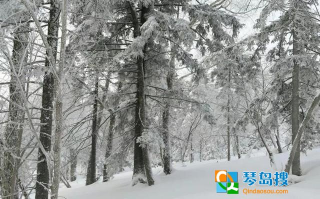 https://pics0.baidu.com/feed/c75c10385343fbf29ba721b7175d2b8964388f4c.jpeg?token=662dbf01bc3cf7d1348654e5d8e7d7e1