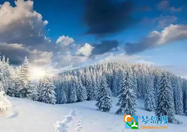 https://pics5.baidu.com/feed/810a19d8bc3eb1350f3967d70a3d49dafc1f4489.jpeg?token=8c84b92c3426566082c00f802866d651