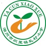 п(zhn)܈СW(xu)