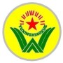 |ݸPСW(xu)