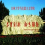 ִW(xu)R˼xW(xu)Ժ